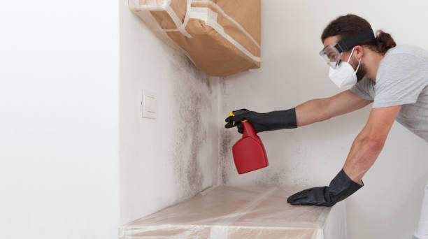Professional Crawl Space Mold Removal technician working in Midland, NC