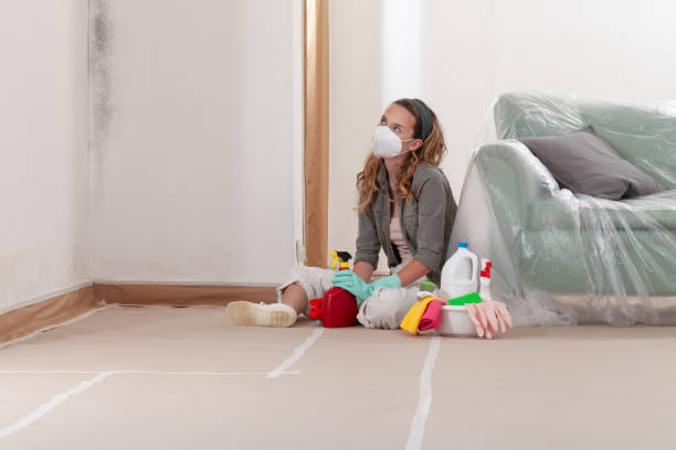 Reliable Crawl Space Mold Removal contractor in Midland, NC by WQB Mold Removal