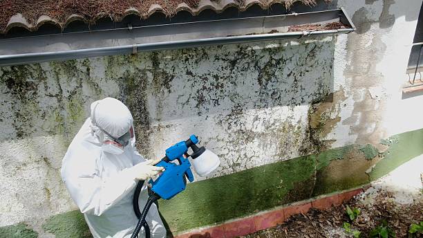 Top rated local Crawl Space Mold Removal specialists in Midland, NC